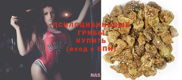 apvp Абинск