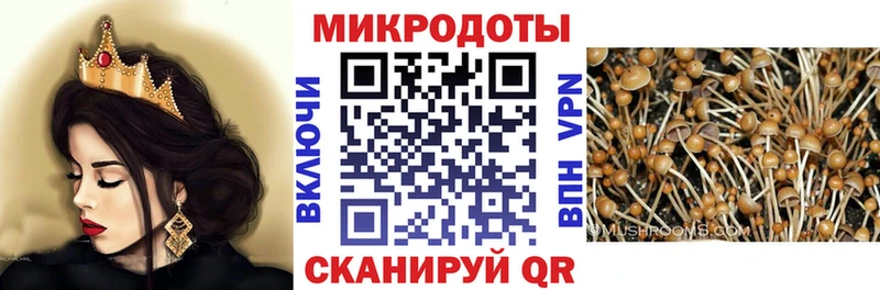 Псилоцибиновые грибы мухоморы Электроугли