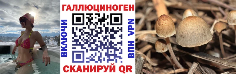Галлюциногенные грибы Psilocybe  сколько стоит  Электроугли 
